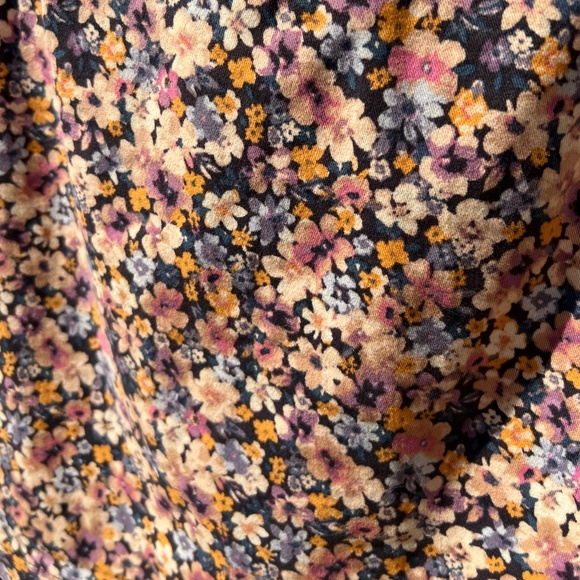 wild fable - Picture 6 of 11